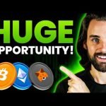 HUGE opportunity for blockchain devs in 2024 (Time Sensitive)