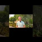 BEWARE!! SOLANA is lying to everyone!