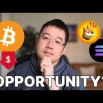 Is This A Buying Opportunity for $BTC / Alts?