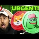 PEPE WILL FLIP SHIBA INU!? PEPE COIN PRICE | PEPE COIN NEWS – Will PEPE COIN 100X?