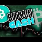 Has BITCOIN CASH (BCH) TOPPED After Halving??? Bitcoin Cash BCH Analysis