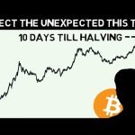 Bitcoin Expert Explains What Will Happen to BTC in 2024-2025!! GET READY!!