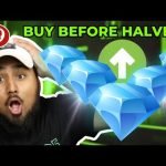 Top 5 alt coins to buy before halving