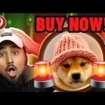 DOGWIFHAT TO ?! (BUY NOW) Dog Wif Hat PRICE Prediction – URGENT $WIF News