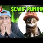 $CWIF IS PUMPING!!! WILL CAT WIF HAT MAKE MILLIONAIRES?!
