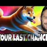 Dogeverse Huge Announcement! Get Ready To Make Some Money!