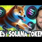 Dogeverse To Launch Soon! This MultiChain Bridge Could The Biggest Launch Of the Year!