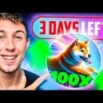 Last Chance to Buy This New 100X Potential Meme Coin – DOGEVERSE!