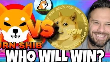 Shiba Inu Coin VS Doge Who Will Rise The Most In June? PlayDoge Could Be A Huge Competitor!