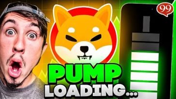 SHIBA INU HEADED TO alt=