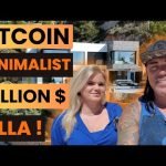 HOW DOES A BITCOIN MINIMALIST MILLION DOLLAR VILLA LOOK LIKE??