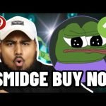 SMIDGE MEME COIN IS THE NEXT PEPE COIN?! Should You Buy $SMIDGE?!