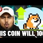 THIS CRYTO MEME COIN CAN 50X TO 100X YOUR MONEY! PLAYDOGE BEST P2E DOGE COIN