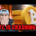 BTC IS CRASHING!!! (Holders Alert!!!) Should you BUY or SELL Bitcoin?!