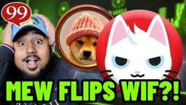 MEW COIN WILL FLIP DOGWIFHAT?! IS MEW COIN THE NEXT SHIBA INU?!
