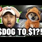 $DOG TO ?! Dog Go To Moon Coin Is PUMPING!! Should you BUY $DOG?!