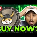 FLOKI MASSIVE ,000,000 BUY IN!! SHOULD YOU BUY FLOKI INU COIN!?