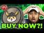 FLOKI MASSIVE ,000,000 BUY IN!! SHOULD YOU BUY FLOKI INU COIN!?