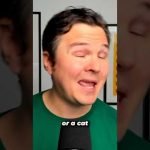 Why Dog Coins Dominate the Meme Coin Battle