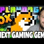 Gaming Tokens Could Lead The Bull Run & PlayDoge Could Rise To The Top!