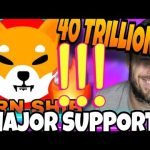 40 Trillion Shiba Inu Coin At Play! Can SHIB Hold Support and How High Will Playdoge Soar?! 40 Trillion Shiba Inu Coin At Play! Can SHIB Hold Support and How High Will Playdoge Soar?!