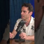 The Best Crypto 2024 Narrative 😲