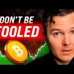 Bitcoin Some Critical Perspective