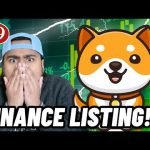 Baby Doge Coin Binance Listing Update! Will Babydoge Get Listed on Binance!