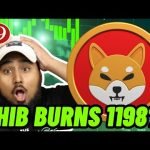 SHIBA INU IS PUMPING (SHIB TO alt=