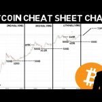 Buy Bitcoin 500 day before the Halving and Sell 500 days after the haling  (or never)