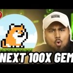 THIS IS THE NEXT 100X CRYPTOCURRENCY MEME COIN!! BUY PLAYDOGE NOW!?