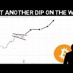 Bitcoin Expert Explains Why BTC Bull market is NOT Over!! GET ready for Q4!!