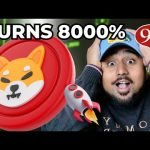 SHIB INU BURNS SKYROCKET 8000%!! BULLISH SHIBA INU NEWS!! BUY $SHIB NOW!!