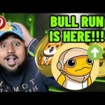 BULL RUN IS HERE!!! BINANCE LISTS THESE POPULAR CRYPTO MEME COINS