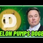 ELON MUSK IS PUMPING DOGECOIN AGAIN… BUY NOW