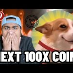 IS SUNDOG THE NEXT DOGECOIN?! Next 100X Crypto Meme Coin on TRX!