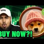 DOGWIFHAT UP 25%! ($WIF TO ) Will $Wif hit ATH in November