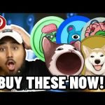 Top 5 Meme Coins to BUY in October!