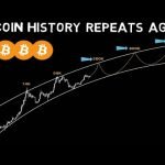 If Bitcoin History repeats then expect this to happen!!