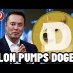 ELON MUSK IS PUMPING DOGECOIN AGAIN!! BUY $DOGE NOW?!