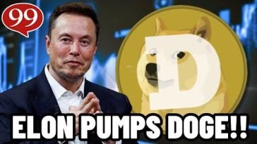 ELON MUSK IS PUMPING DOGECOIN AGAIN!! BUY $DOGE NOW?!