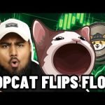 POPCAT ON SOL WILL FLIP FLOKI INU!? BUY POPCAT NOW!?