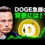 イーロンマスクがDOGECOINを〇〇！！テスラCEOが動き出す！？