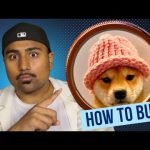 How to Buy DogWifHat $WIF in 2 Minutes!