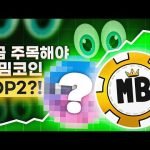 지금 주목해야 할 밈코인 TOP2?!