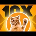 هل تشتري CATSLAP   عملة الجديدة 100X المحتملة
