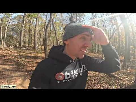 We need to talk about bitcoin vs altcoins performance!