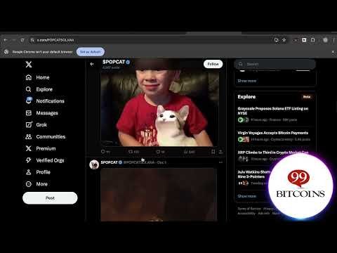 Popcat stijgt 11% – Is dit de kans om in te stappen? 🔥