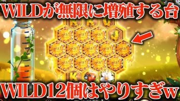 【神台】WILDが無限に増殖する台に10万円突っ込んだらWILD12個はやばいてwwww