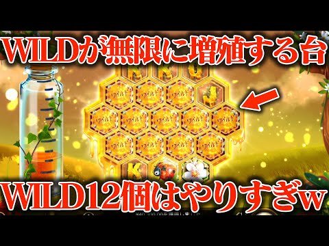 【神台】WILDが無限に増殖する台に10万円突っ込んだらWILD12個はやばいてwwww
